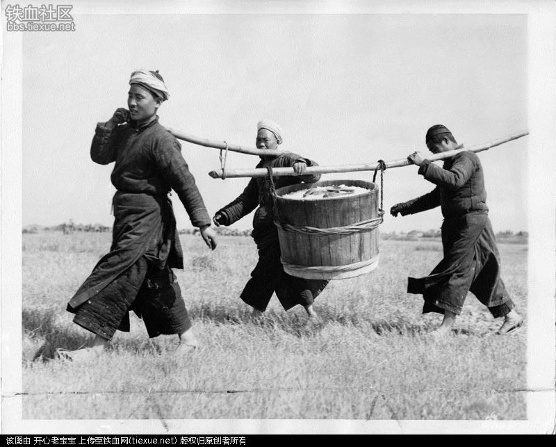 日本鬼子躲地洞,美军飞虎队轰炸无望,中国老农民出一记妙招(图11) 铁血网提醒您:点击查看大图