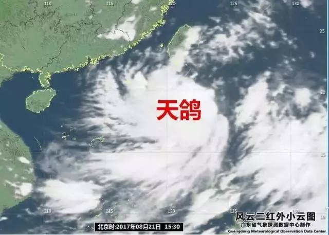 台风“天鸽”直飞广东!第一次对暴风雨如此之期待…