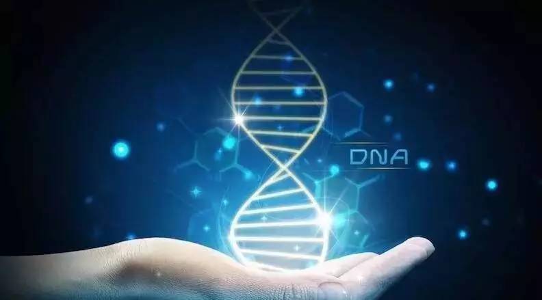 基因周报—基因科技一周重要新闻汇总（2017.08.20）
