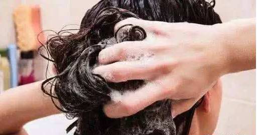 头发多久洗一次最好？难怪你头发越掉越多！