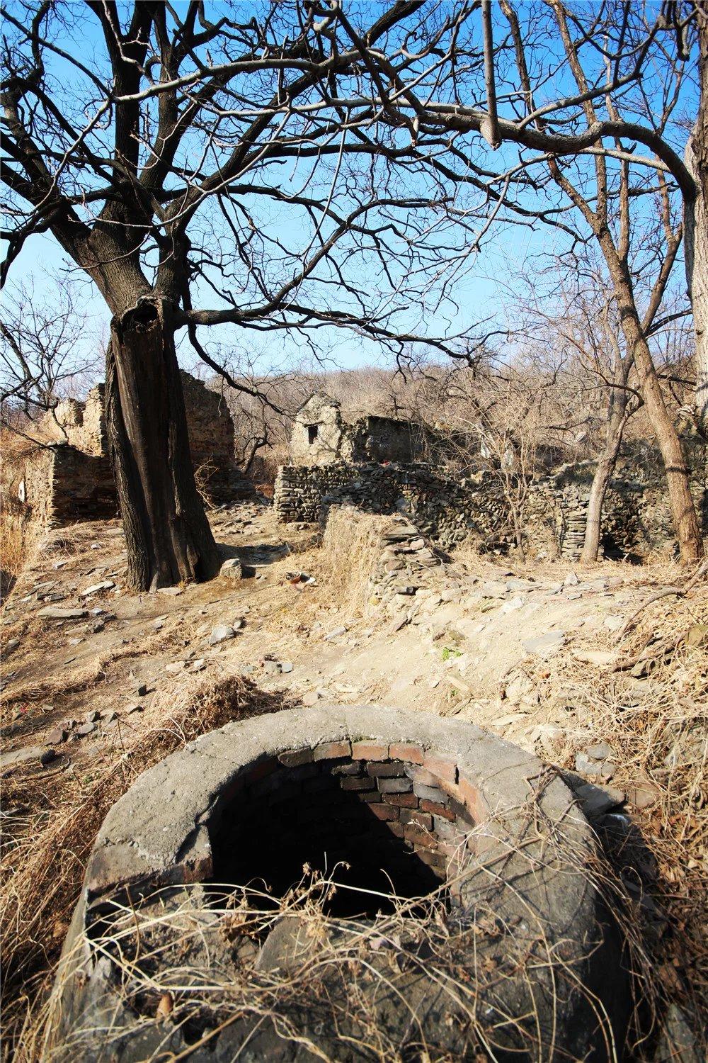 古树枯井,诡异红衣——游走山野荒村