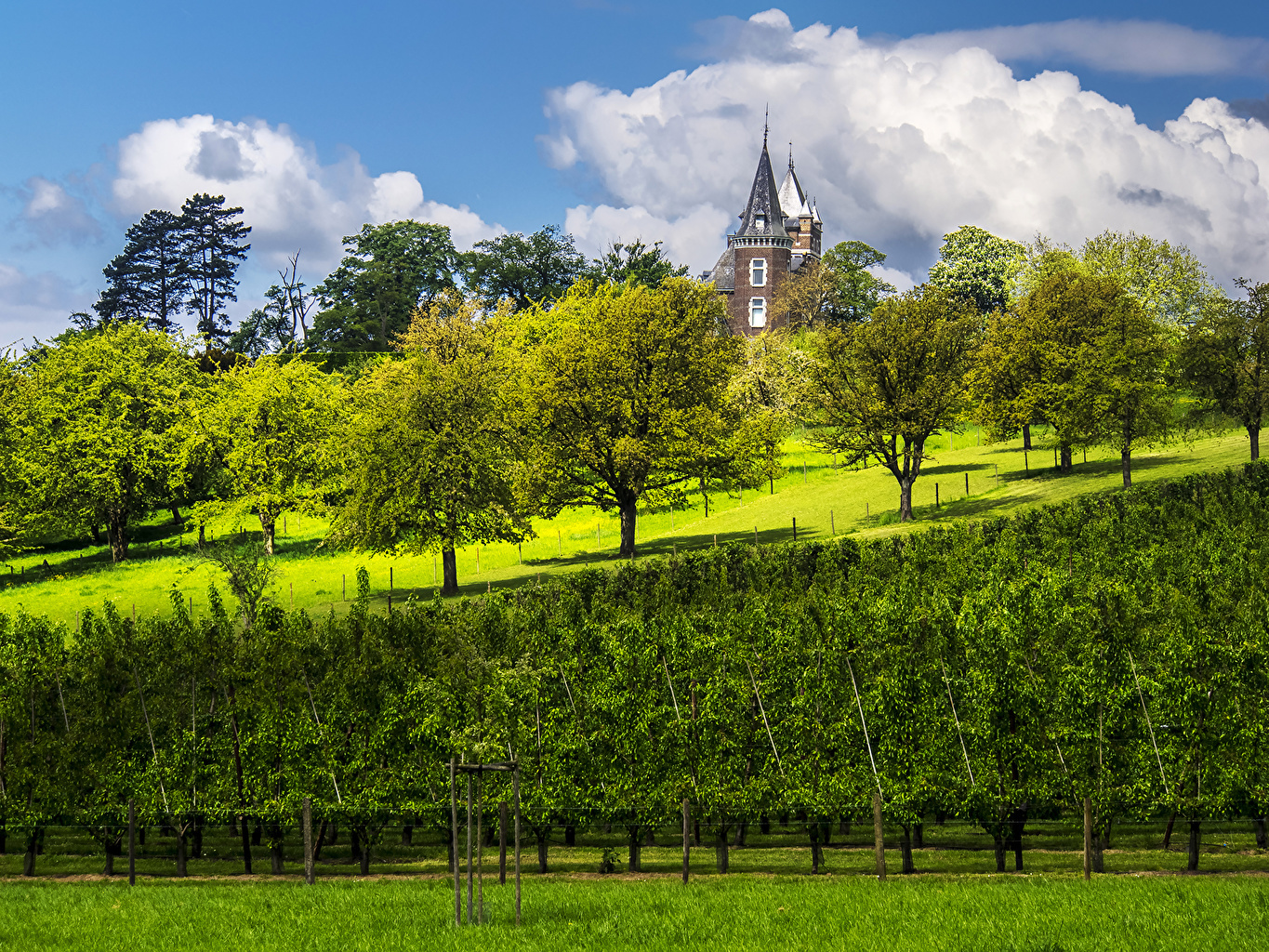 因为恐怖分子的出现,这个国家再也开心不起来