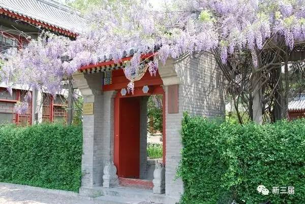 北大中文系77级：数风流人物，还看当年