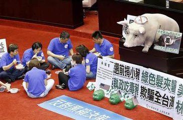 刺杀蔡英文的男子:要把五星红旗升上去(图12) 铁血网提醒您:点击查看大图