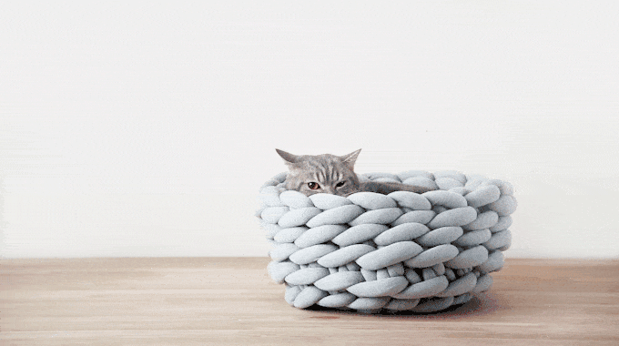 高品质居家达人要如何正确吸猫?