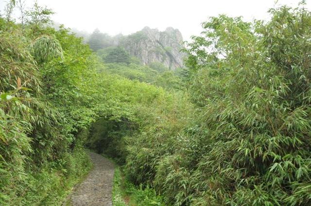 神农架十大未解之谜,神农架究竟有什么秘密?鬼市究竟是什么?