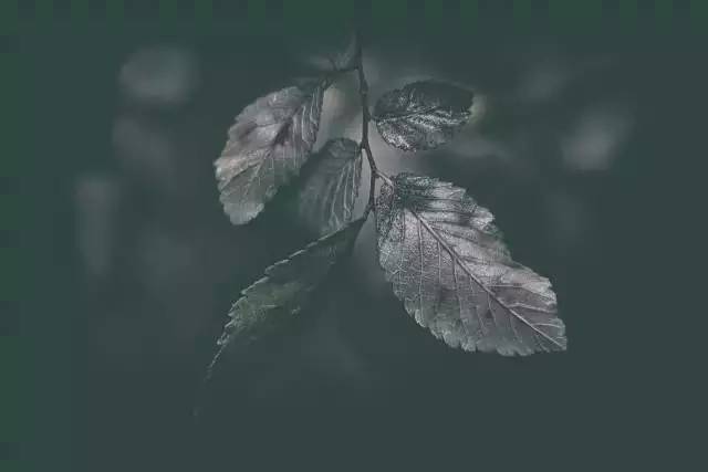 ׺ӣ֪ЩȫС~