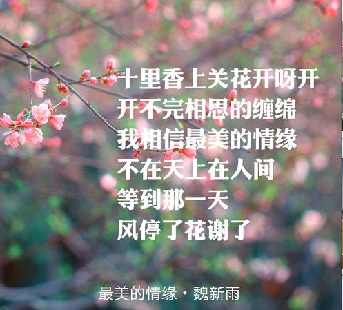 歌曲《最美的情缘》 唱出背后的故事