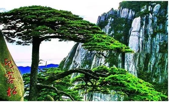 【原创】中国旅游影响力百强系列：黄山