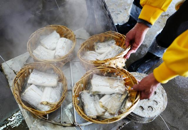 潮汕渔谚为什么要说“正月带鱼来看灯”呢？