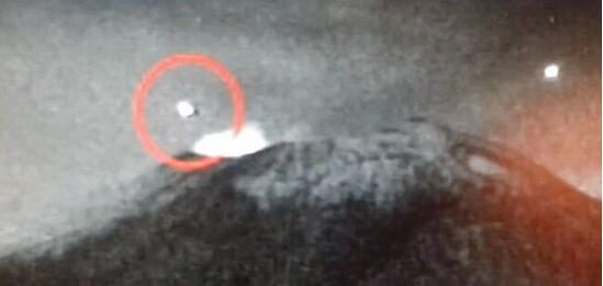女子夜晚听到诡异的吼叫声:抬头往树上看吓懵了