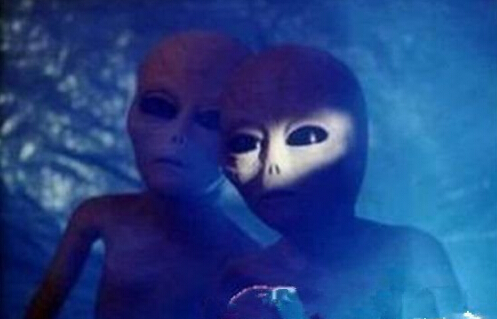 女子夜晚听到诡异的吼叫声:抬头往树上看吓懵了