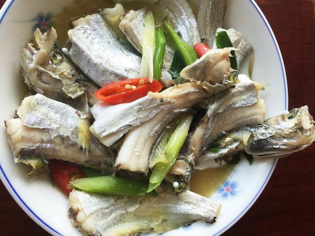 潮汕渔谚为什么要说“正月带鱼来看灯”呢？