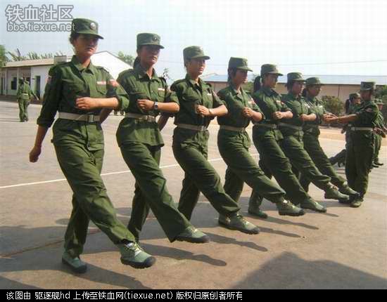 印度的黑手突然伸向这国,中国又将面对一个大麻烦?(图65) 铁血网提醒您:点击查看大图