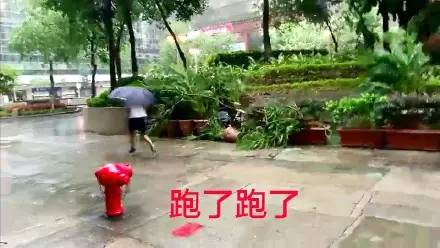 天鸽成为今年首个台风红色预警!厦门将迎狂