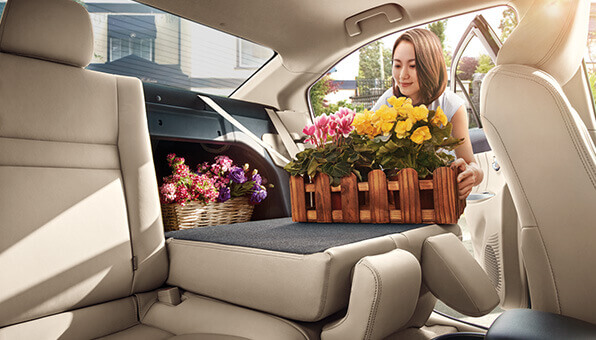 20170822_1503382171181351.jpg 15.jpg