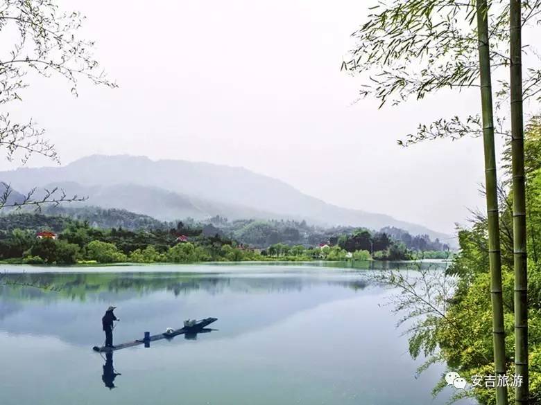 玩转中国大竹海，据说这里藏着浙北最低调的惊艳！