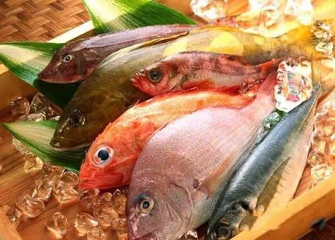 鳗鱼的经济总量_鳗鱼图片(3)