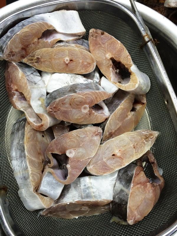 潮汕渔谚为什么要说“正月带鱼来看灯”呢？