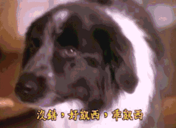 6岁就是性虐待狂,还扬言要杀死全家,还好这个小女孩的