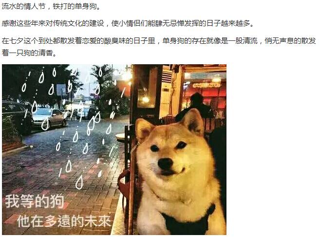 我们是谁?单身狗!