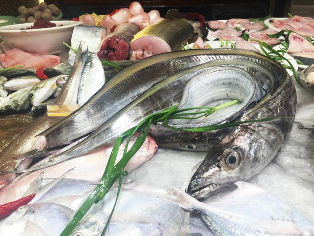 潮汕渔谚为什么要说“正月带鱼来看灯”呢？