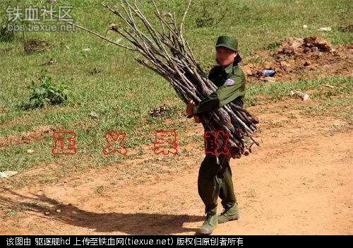 印度的黑手突然伸向这国,中国又将面对一个大麻烦?(图37) 铁血网提醒您:点击查看大图