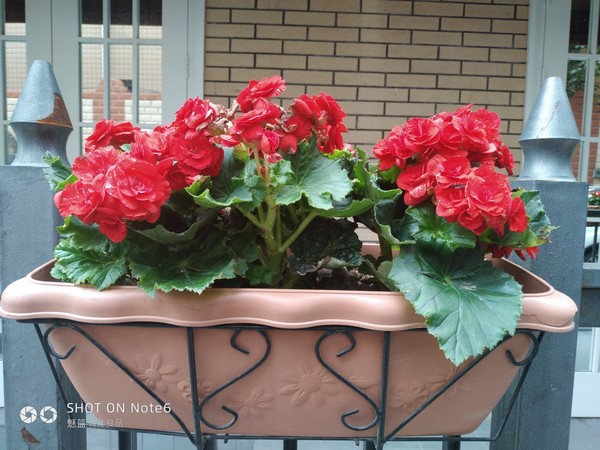 魅蓝Note6样张 魅蓝Note6样张