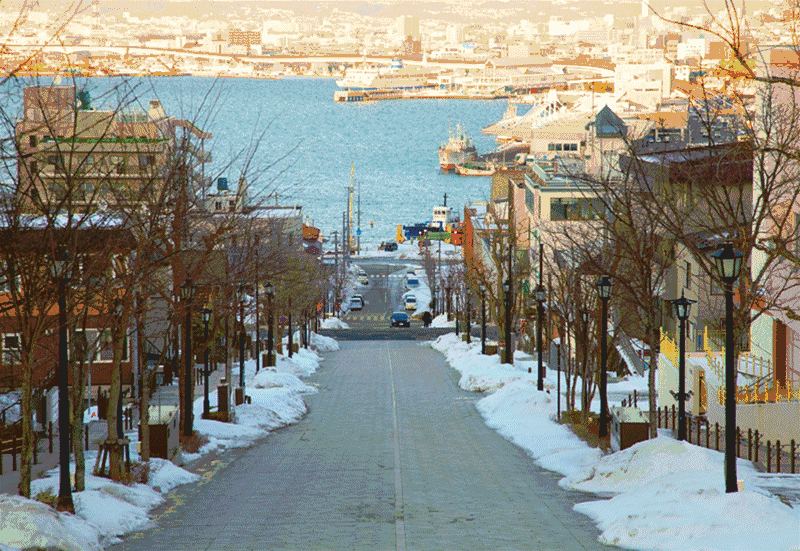 北海道到底值不值得去,你们说了算!