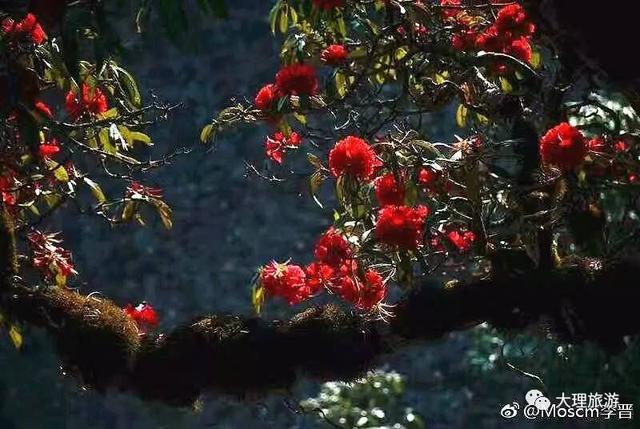 五一小长假 这些景点你可约伴免费玩！