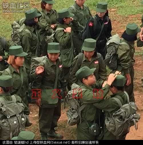 印度的黑手突然伸向这国,中国又将面对一个大麻烦?(图35) 铁血网提醒您:点击查看大图