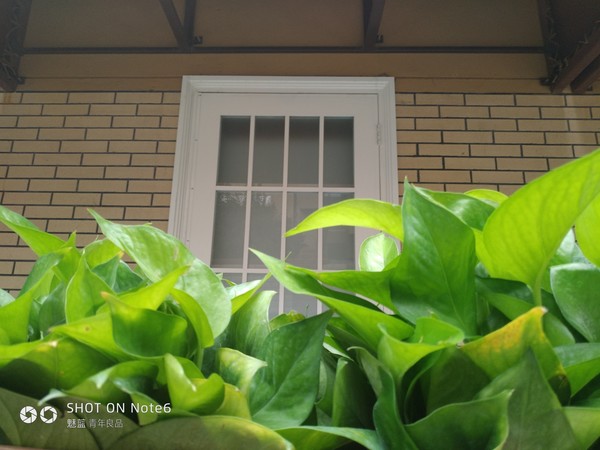 魅蓝Note6样张 魅蓝Note6样张