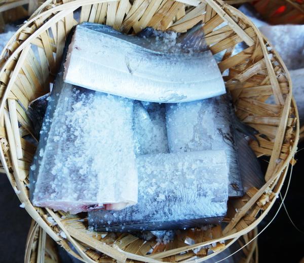 潮汕渔谚为什么要说“正月带鱼来看灯”呢？