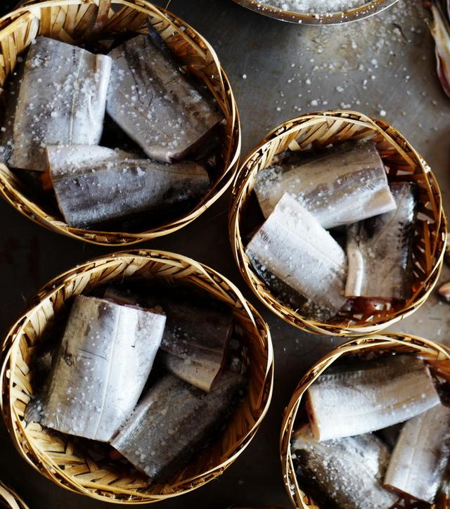 潮汕渔谚为什么要说“正月带鱼来看灯”呢？