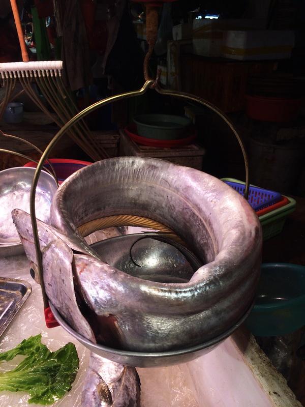 潮汕渔谚为什么要说“正月带鱼来看灯”呢？