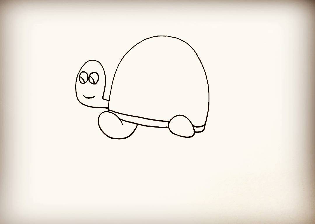 简笔画-小乌龟