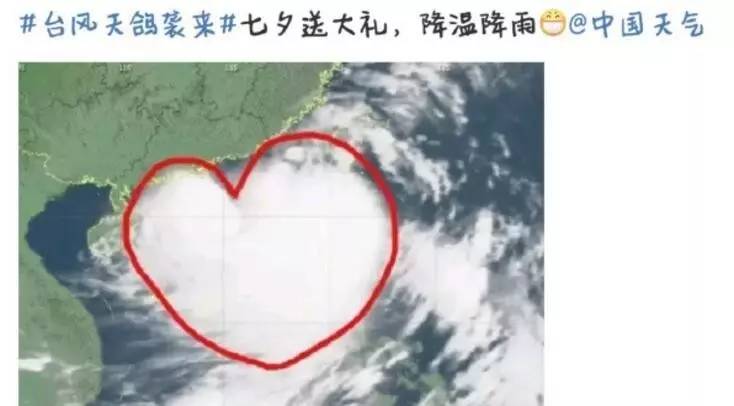 是时候总结下深圳珠海香港这场台风了:深圳朋