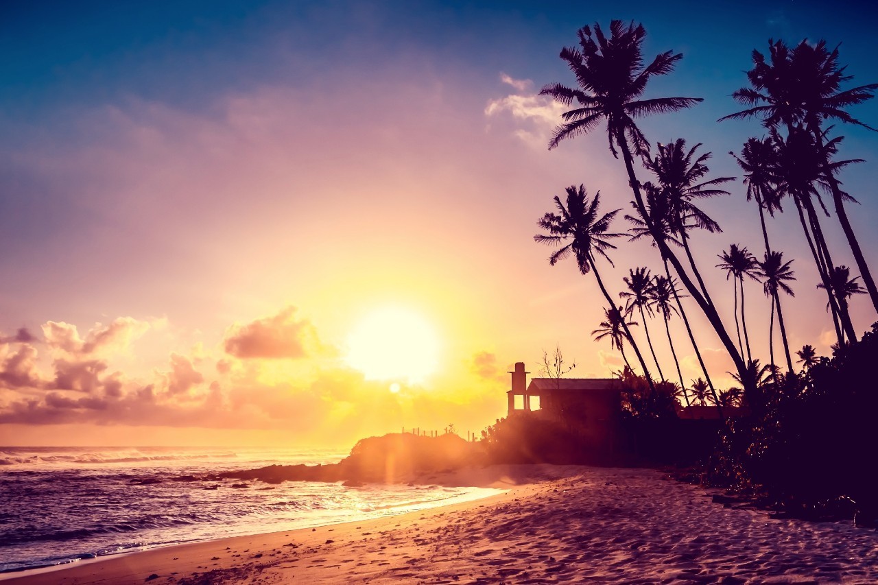 海滩、茶园、古堡、卧佛，Lonely Planet带你寻访斯里兰卡 I 微信沙龙NO.13_凤凰资讯