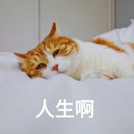 香港过气明星来内地捞金,坦言大陆的钱太好赚