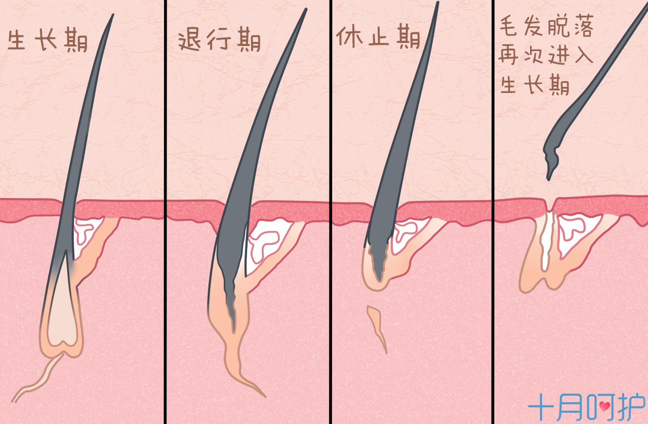 孕期长毛绒变身毛猴子,这4种脱毛法帮你重返光滑肌