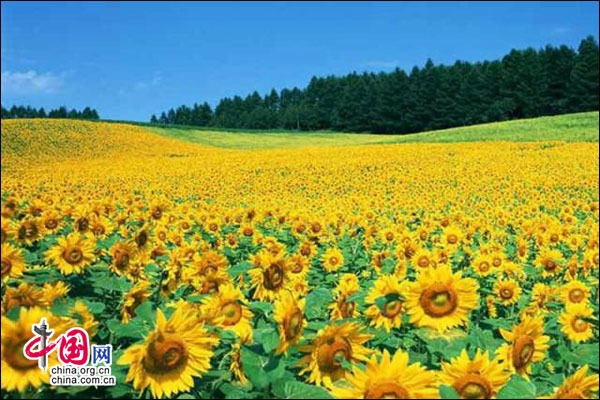 4422C0ED6B7961787EE450EDAAB1892D59EDE46D_size135_w600_h400.jpeg