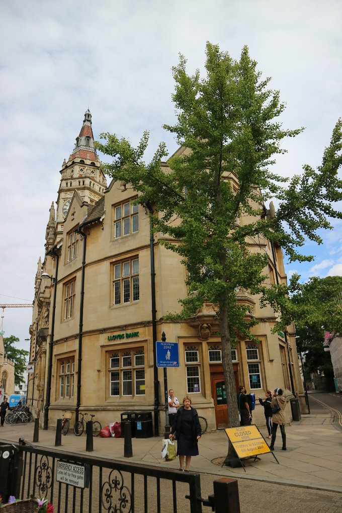 梦游英国(伦敦温莎剑桥爱丁堡 公共交通 10日 