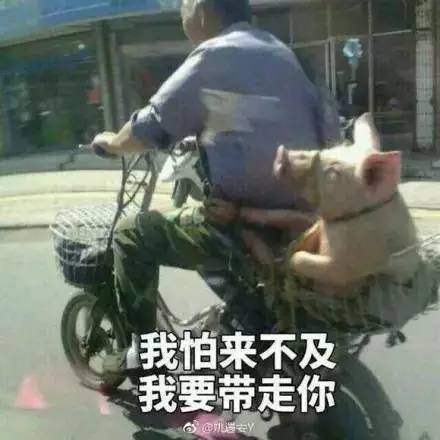 73CA4664202A535BDEF2CF5C77D37214FAE800E4_size25_w440_h440.jpeg