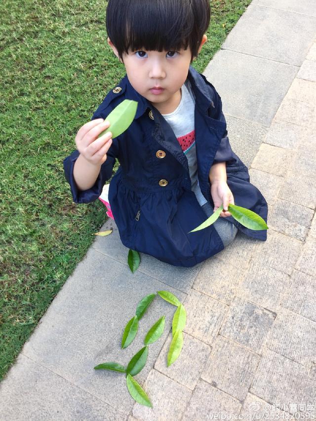 陆毅和女儿日常合影，大家竟然为了是姐姐还是妹妹这个问题吵翻了