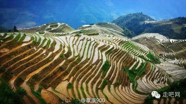 中国最美丽的曲线,龙脊梯田的韵律之美!