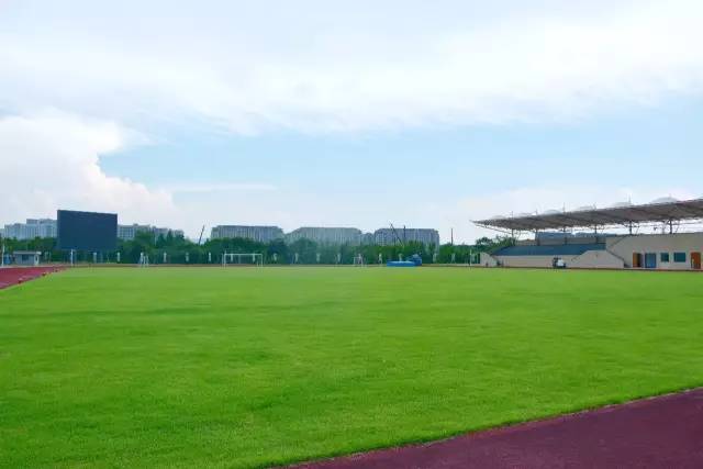 球场西侧设有主席台和观众席,观众席设有1000个固定座位,座位为台阶式