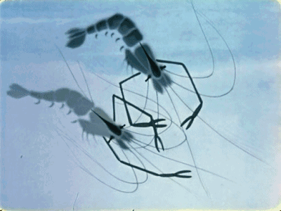 国产动画的黄金时期,这位老人不能忘