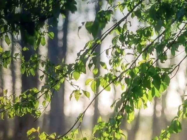 此生若能得幸福安稳,谁又愿颠沛流离?