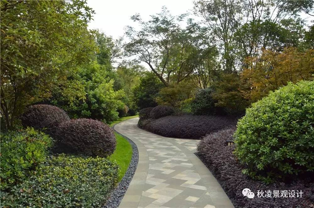 高bigger的植物配置实景图【第895期】