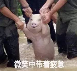 跑男团＂说漏嘴＂？贵圈好友之间的爆料简直绝不手软啊！